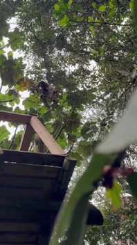 Redhead Gets Slutted Out by Ripped Stud in the Woods