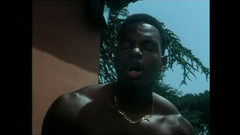 FM Video VOD: モアナ・ポッツィ:モアナを望む