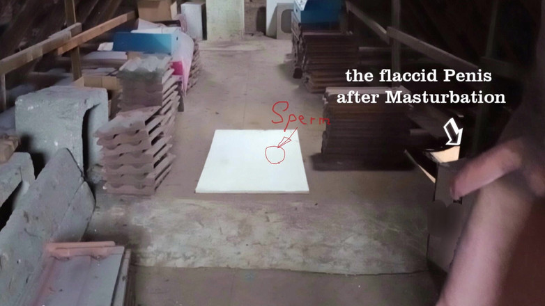 Mark Hannes: Szybka stara masturbacja w pamięci