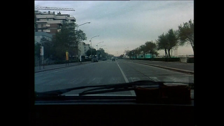 FM Video VOD: ザ・ファン (映画)