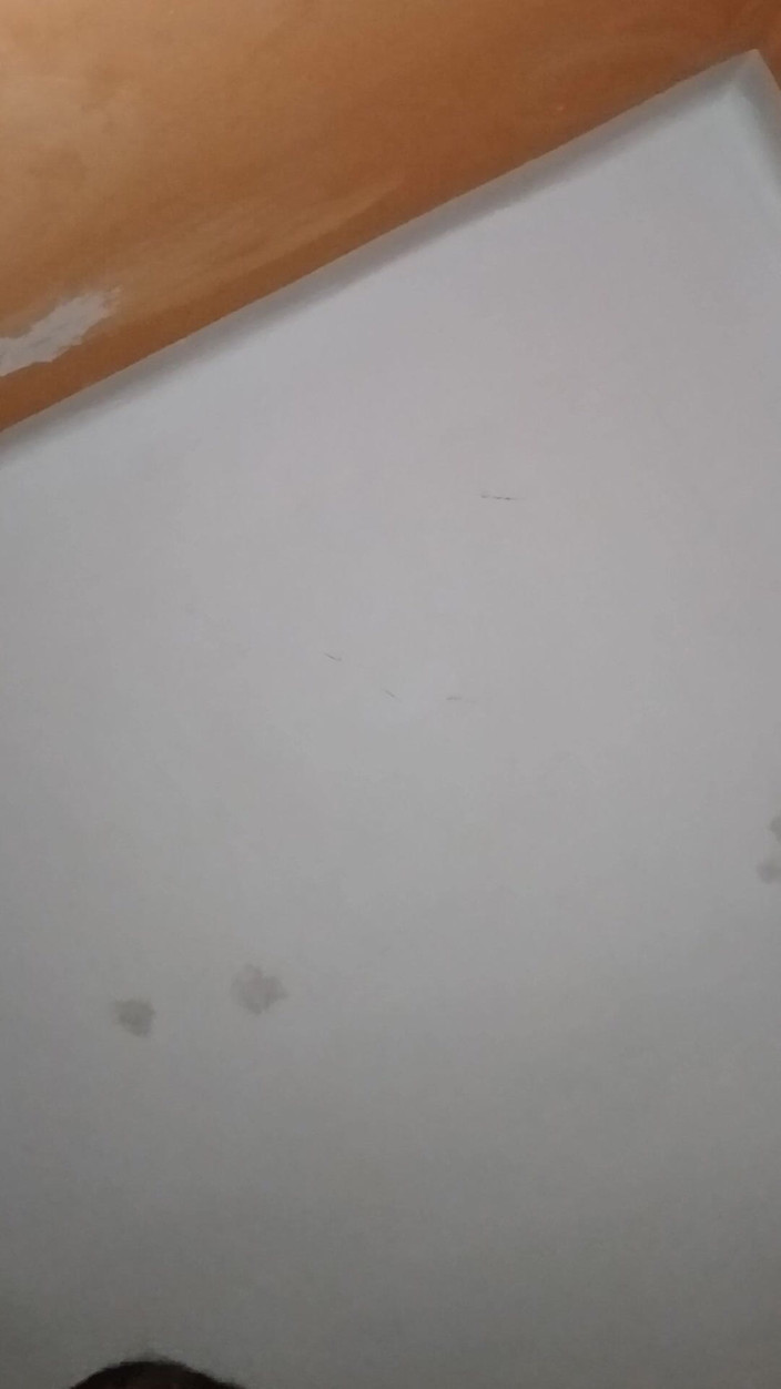 frapla: Amatoare cu păpuși sexuale