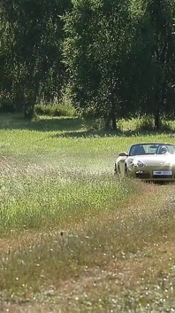 Zákulisí Společnosti Veree
