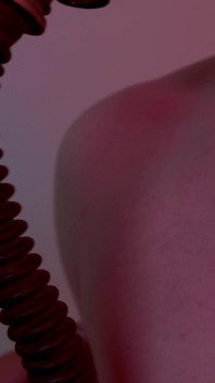Mdf: xxxmas bdsm especial