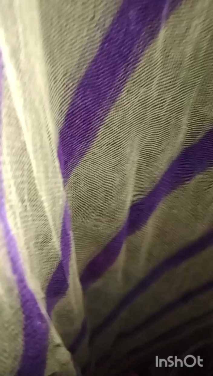 Major: 벵골 바비