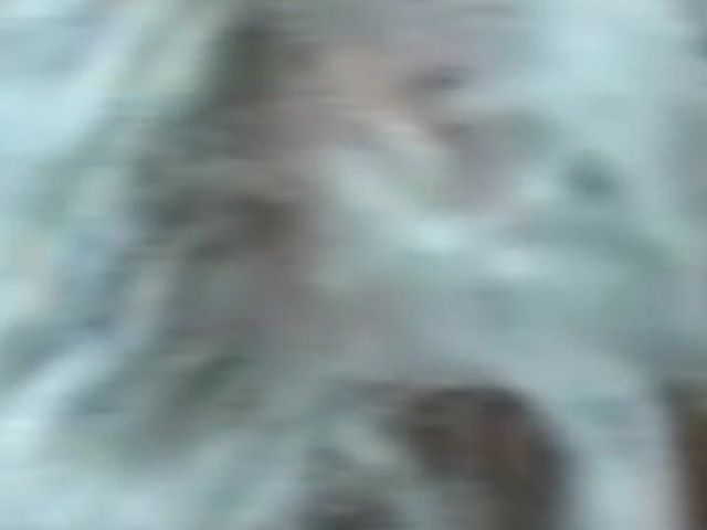 Sucking a Very Old Cock (Nypster official)