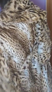 Qualsiasi cosa per le pellicce