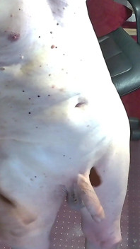 Nice View of Cum Shot Seen From Above