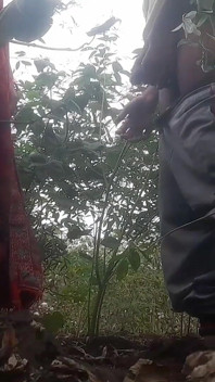 Đụ chị dâu đến làm việc trên cánh đồng