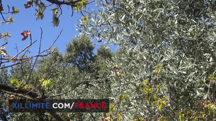 Made In France: Секс-перерва в сільській місцевості
