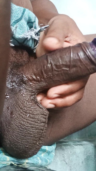 Colour Penis