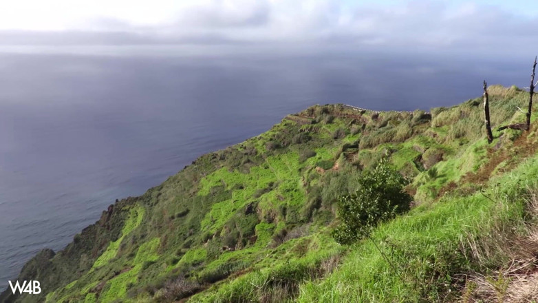 Watch4beauty: Windy Afternoon