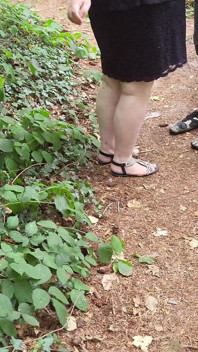 Walk in the Woods Who I Meet Today