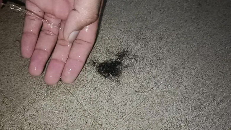 LovedSunsine1990: Necesito un chico para hacerme el pelo detrás