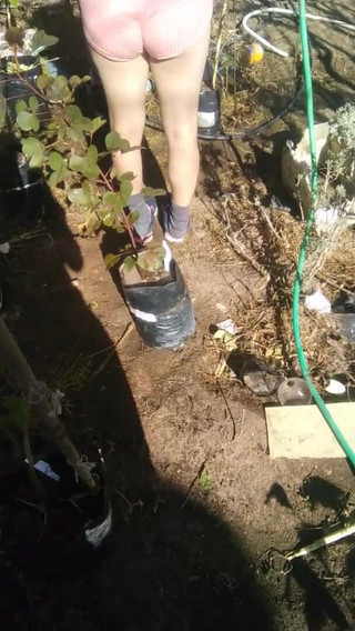 Fitcure1: 그녀의 물을 보고