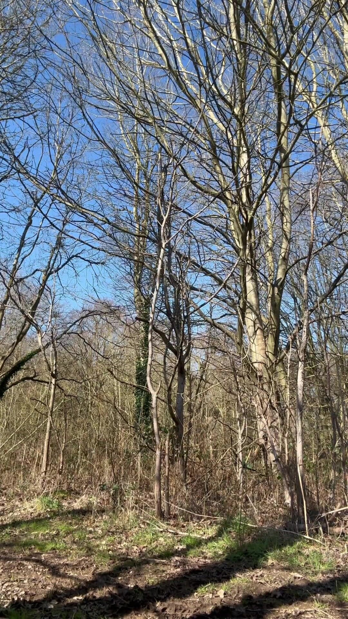 Hot dick in your ass: Ormanda yolculuk, evli dede sikimi emdi ve beni boşalttı