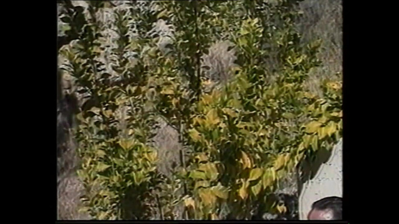 MCG EMPIRE TV - our best full movie: Le Masque De Sperme. (film Complect)