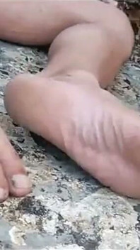 Bosá 37
