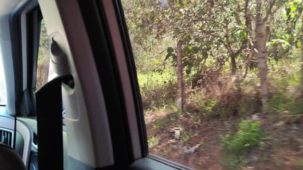 Carmona TS: Je l’ai fait sucer à l’intérieur de la voiture