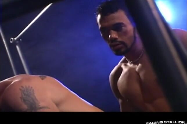 Raging Stallion: Plesso