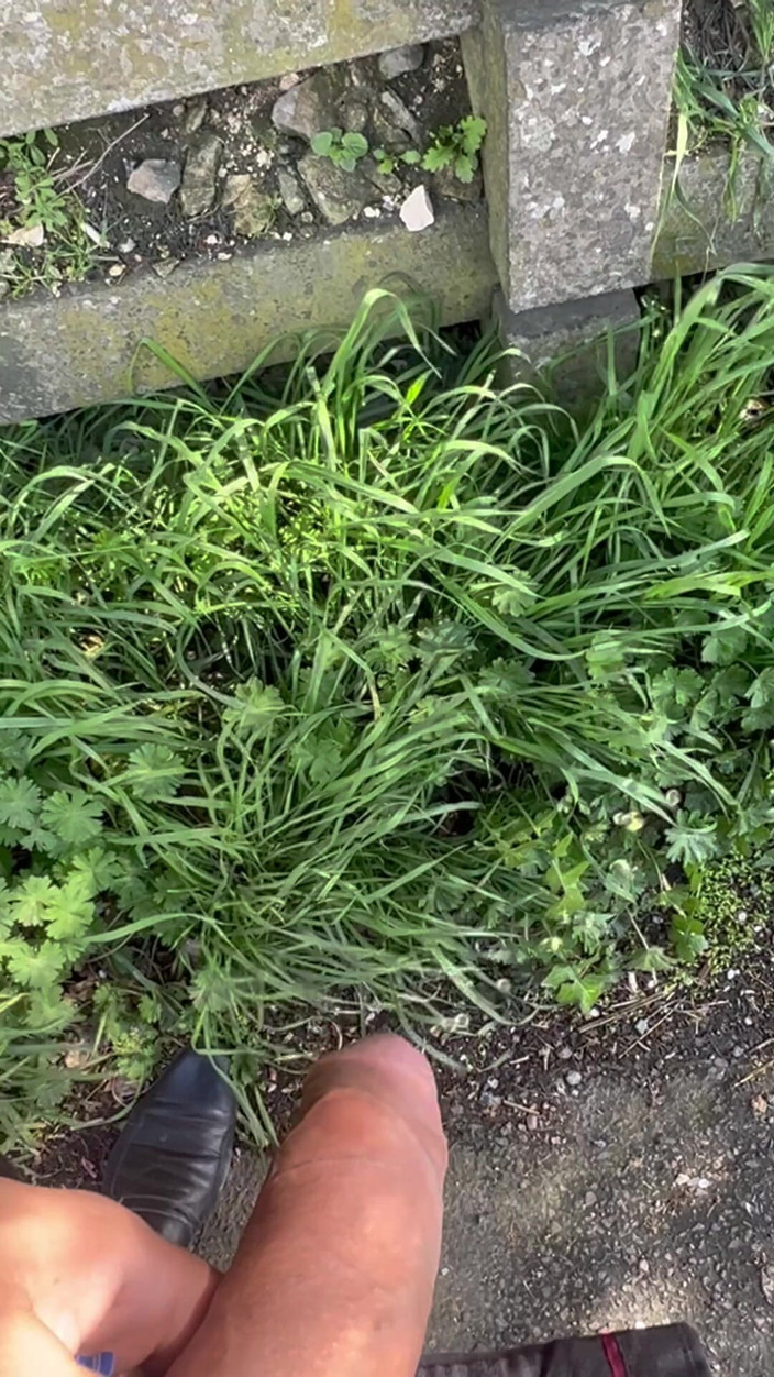 Hot dick in your ass: Compilation of Me Taking Long Naughty Piss in Public Park