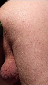 Anal Cucumber
