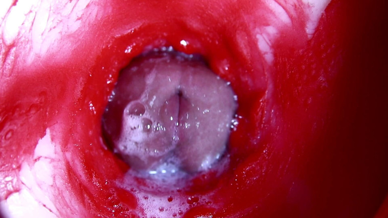 SEXY_GUYBEST: 火辣湿润的性感小穴和咸湿的大鸡巴