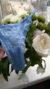My Fitness Panties