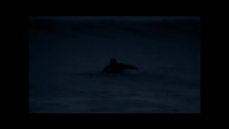 Blitzporn: 若くてエキゾチックな美女が、夏の夜のビーチで大きなペニスに激しく突かれる