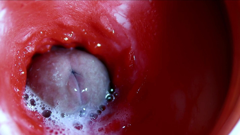 SEXY_GUYBEST: एक मीठे छेद में शुक्राणु की बहुत करीब विशाल धाराएं asmr गीली स्कॉल्च