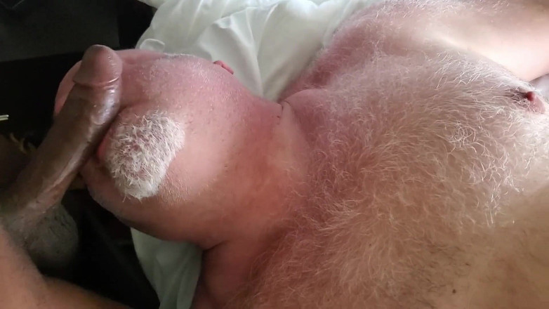 beardaddychub: 흑인 대물 자지와 정액을 빨아주는 곰