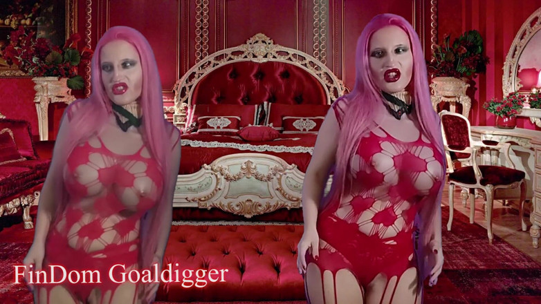FinDom Goaldigger: กูนเนอร์แลนด์