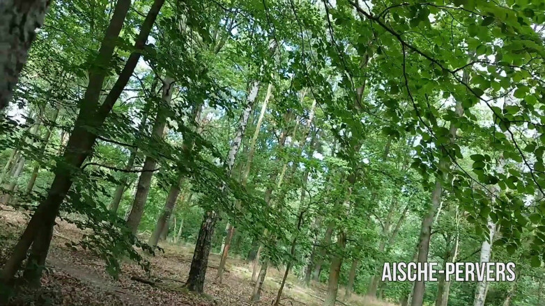 Aische Pervers: O curvă sexy și excitată își duce bărbatul în pădure pentru a se...