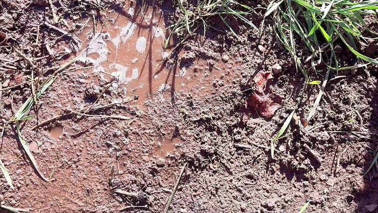 sweethanajapanese: Pizdă cu pișare pe vreme rece afară