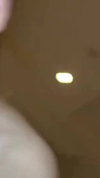 Asian Angel 23511