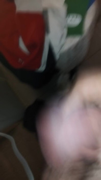 Hard and Unshaved Cock Always Ready