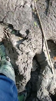 Mud Fun in Rubber Camo Wellies