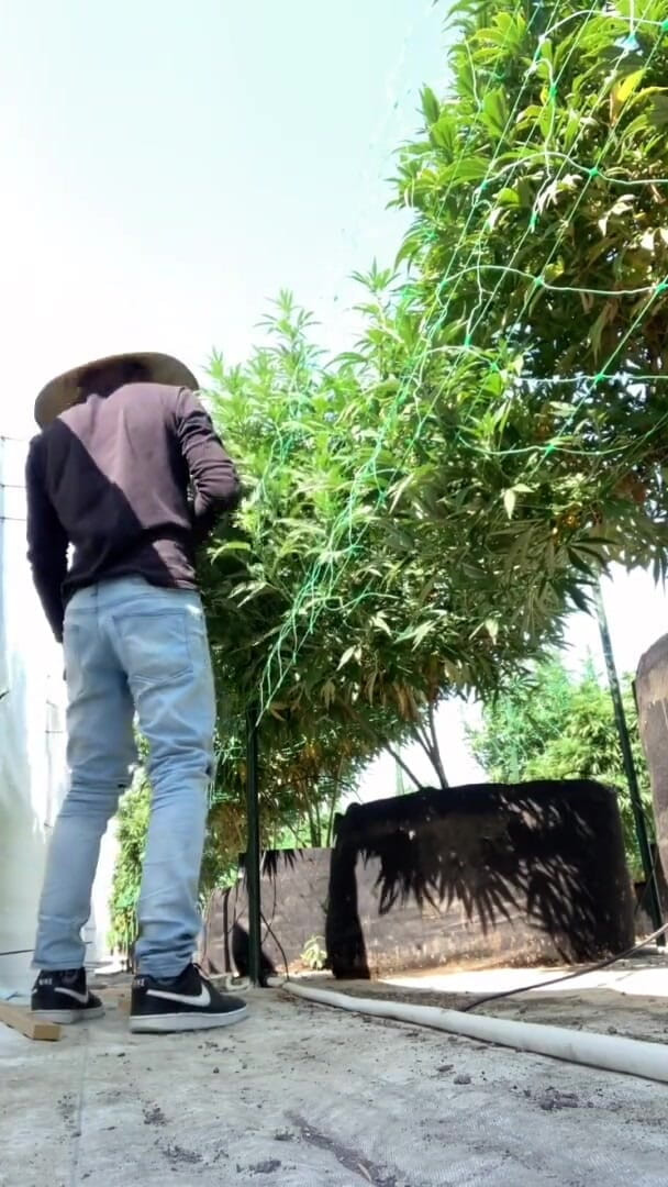 Xooshua (xblue18): Vreau să te fut pe câmp