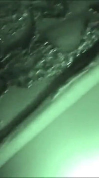 Local film super blowjob
