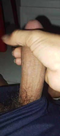 Succuto
