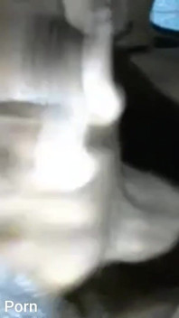 Detailní záběr Hlazení mého velkého černého ptáka
