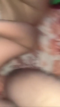 3069646