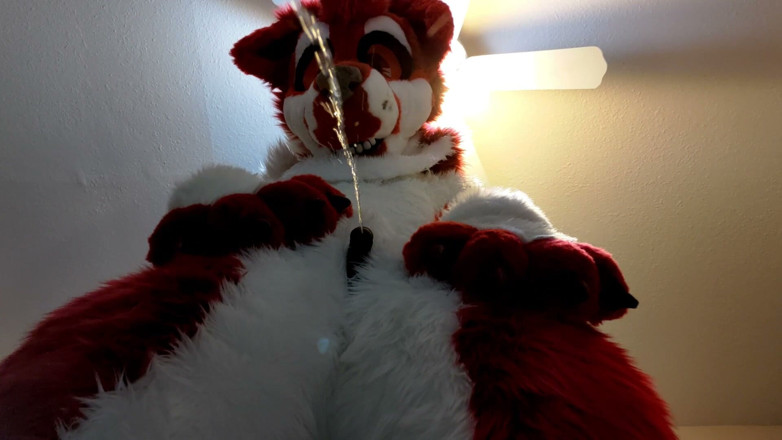 PawgrammerSocks: Furry in Full-body Fursuit Pisses on You, Then Cums Over...