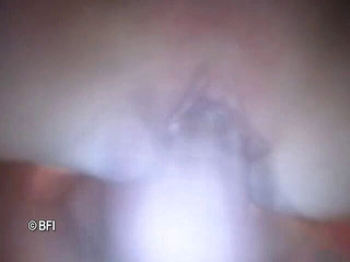 Naughty by nature in Holland: Lipas atlit