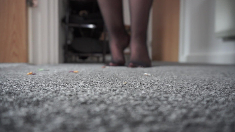 Sasha Curves: Gergasi bermain sorok-sorok dan mencari dengan rakan sekerja Shrunken