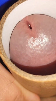 Sharpening the Glans Penis with Liquid Glue.