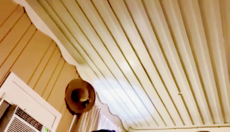 Gonna make you squirt: 나는 그의 공을 핥고 그의 거대한 자지를 가지고 노는 55m 사진작가의 공을 따먹어