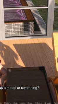 Hoe je Maagdelijkheid verliest 24: Leo-Eva Hotel Reünie na het schieten (sfw)