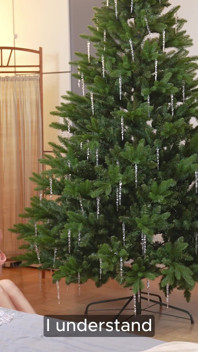 Saya menemui saat saya di bawah Pokok Krismas - zakar besarnya. Pasukan Tim