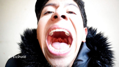 Dreichwe: 部屋で語学ゲーム