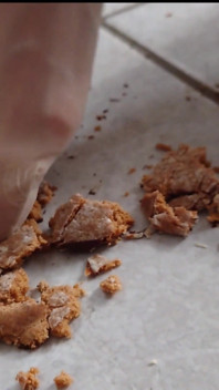 Crush Gingerbread dengan Kaki Nilon